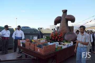 Alegre y participativa romería en El Ejido (Foto FJ Santana y TF)
